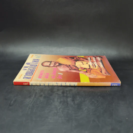 โลกทิพย์ ตายแล้วไปไหน 15 หลวงพ่อปาน โสนันโท รูปที่ 3