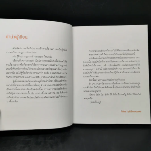 คิดแคต - ทีปกร วุฒิพิทยามงคล รูปที่ 8