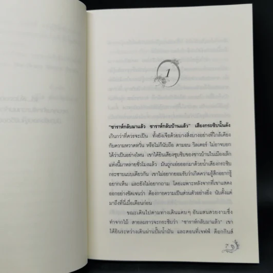 Magic in the Wind มายาในสายลม - คริสติน ฟีแฮน รูปที่ 9