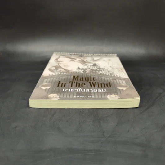 Magic in the Wind มายาในสายลม - คริสติน ฟีแฮน รูปที่ 4