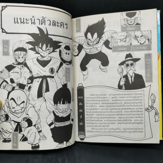 DRAGON BALL ดราก้อนบอล เล่ม 22 รูปที่ 8