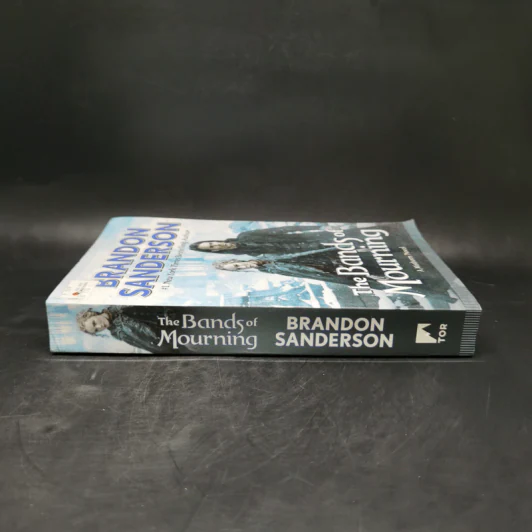 The Bands of Mourning - Brandon Sanderson รูปที่ 3