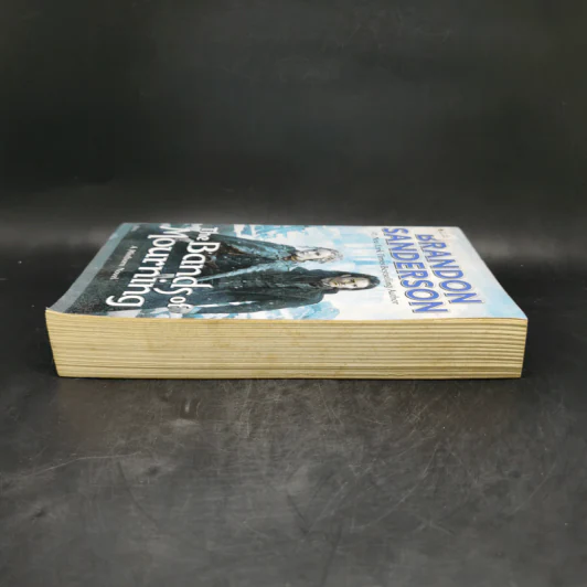 The Bands of Mourning - Brandon Sanderson รูปที่ 5
