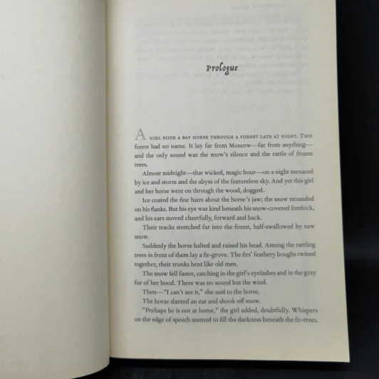The Girl in the Tower - Katherine Arden รูปที่ 9