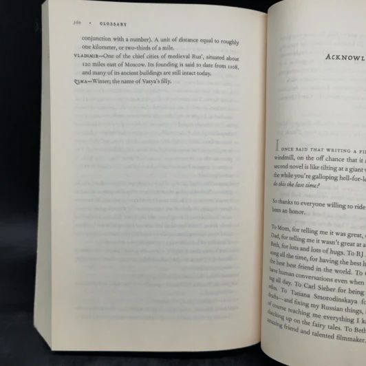 The Girl in the Tower - Katherine Arden รูปที่ 11