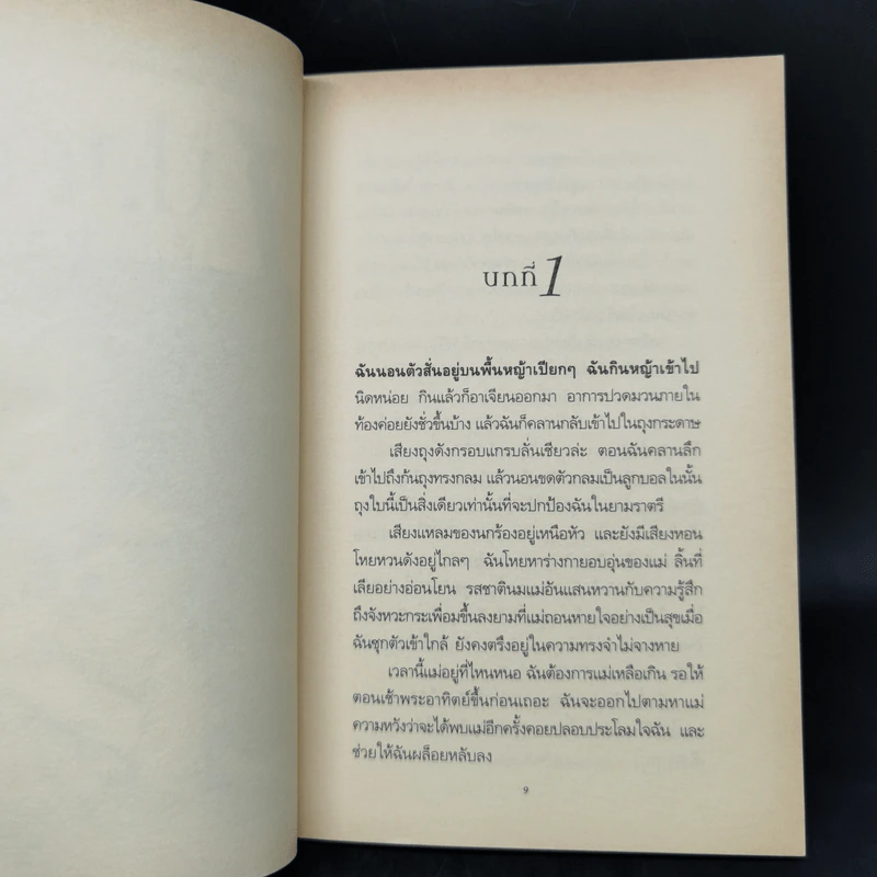 สปังค์กี้ เพื่อนสี่ขาพเนจร - ดอริ บริงค์ รูปที่ 10