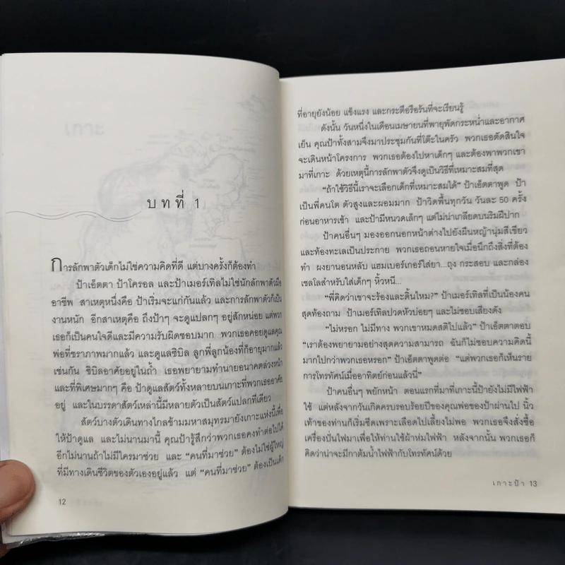 Island of the Aunts เกาะป้า - อีวา อิบบ็อตสัน รูปที่ 11