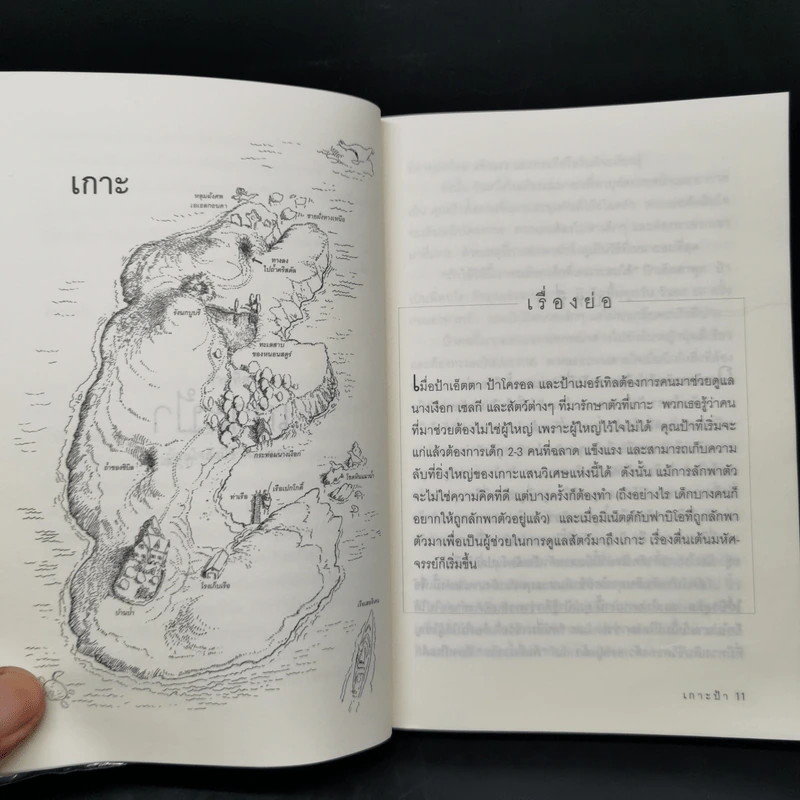 Island of the Aunts เกาะป้า - อีวา อิบบ็อตสัน รูปที่ 10