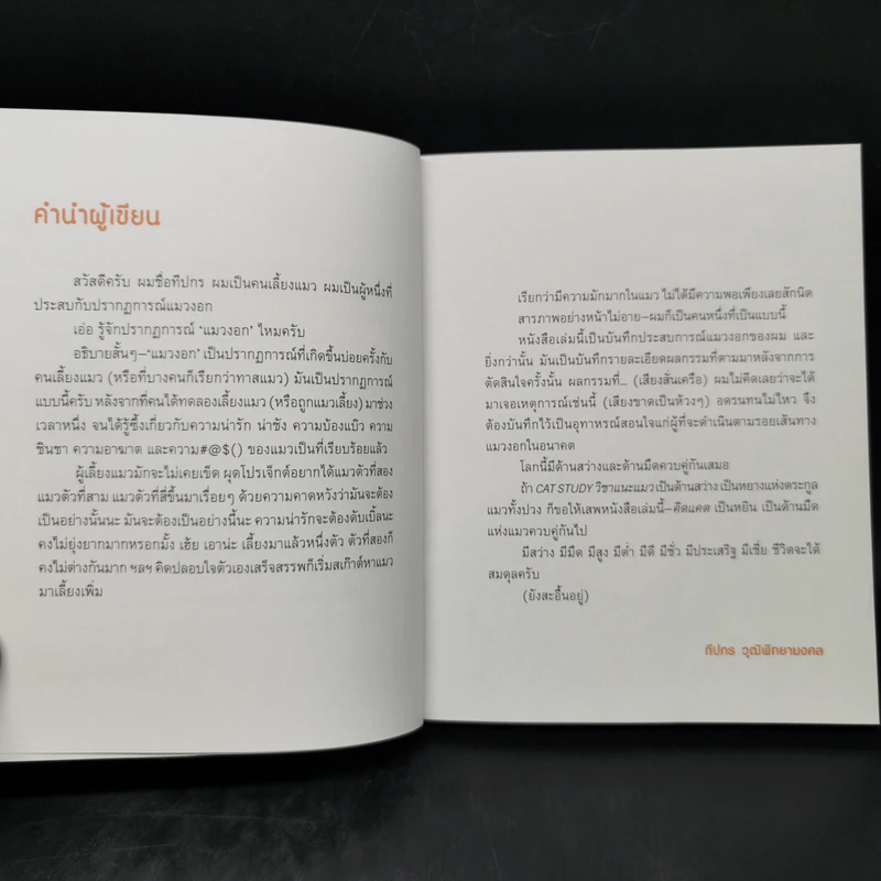 คิดแคต - ทีปกร วุฒิพิทยามงคล รูปที่ 8