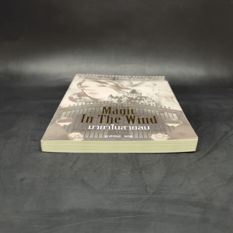 Magic in the Wind มายาในสายลม - คริสติน ฟีแฮน รูปที่ 4