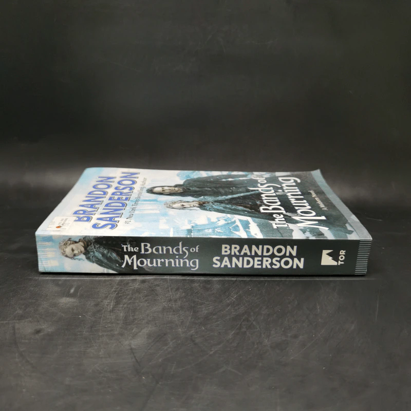 The Bands of Mourning - Brandon Sanderson รูปที่ 3