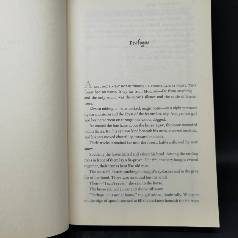The Girl in the Tower - Katherine Arden รูปที่ 9