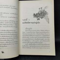 วาสนาชะตารัก - ชื่อถง รูปที่ 9