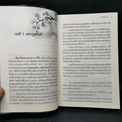 เกมเสน่หา - มณีจันทร์ รูปที่ 9
