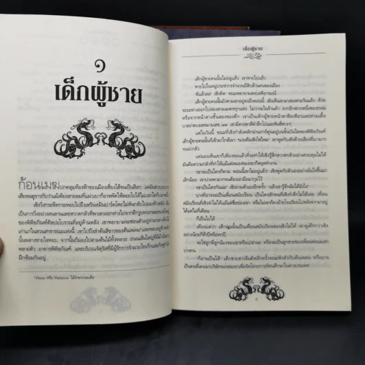 เซนจูรี่ เล่ม 1-3 - ปิแอร์โดเมนิโก บักคาลาริโอ รูปที่ 14