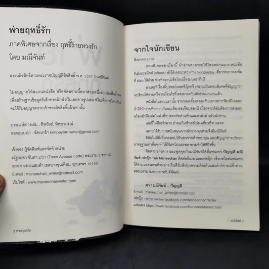 พ่ายฤทธิ์รัก - มณีจันท์ รูปที่ 8