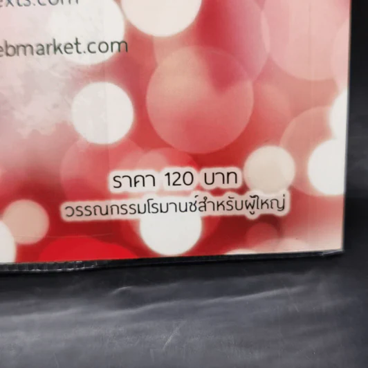 พ่ายฤทธิ์รัก - มณีจันท์ รูปที่ 11
