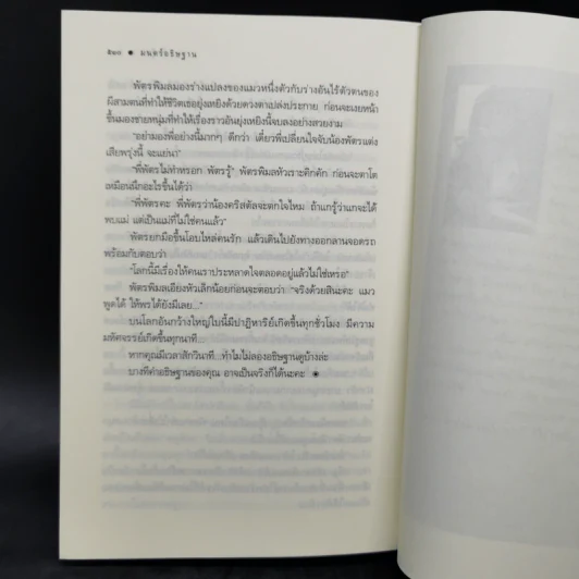 มนตร์อธิษฐาน - กัลฐิดา รูปที่ 10