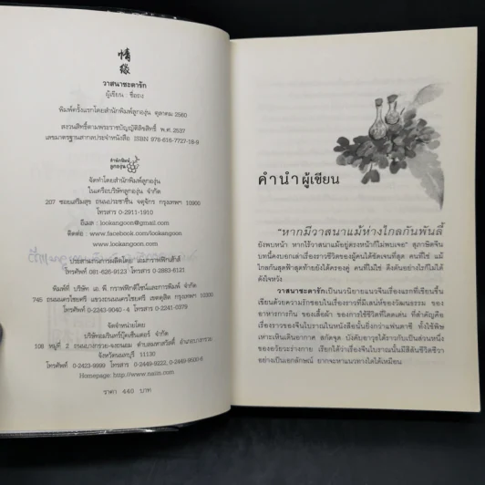 วาสนาชะตารัก - ชื่อถง รูปที่ 8