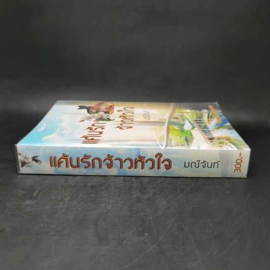 แค้นรักจ้าวหัวใจ - มณีจันท์ รูปที่ 3