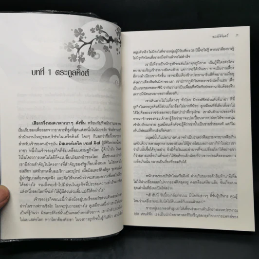 เกมเสน่หา - มณีจันทร์ รูปที่ 9