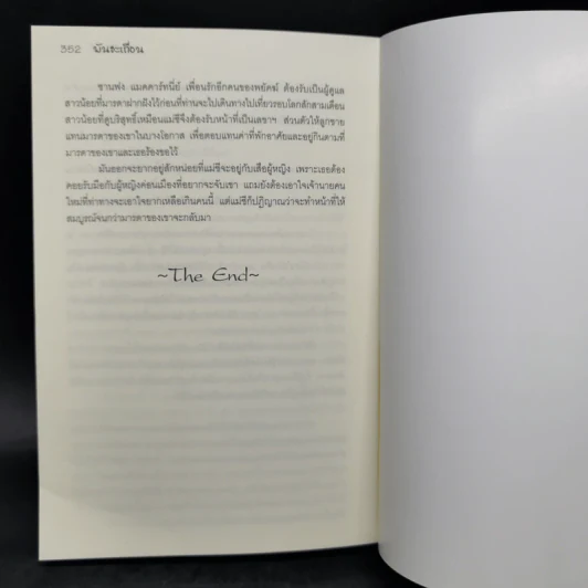 พันธะเถื่อน - มณีจันท์ รูปที่ 10