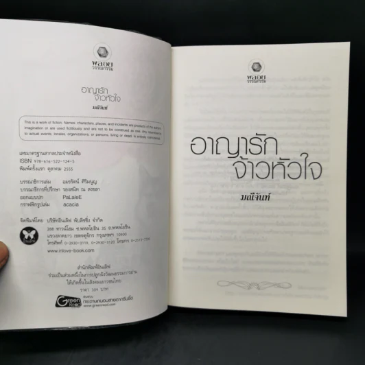 อาญารักจ้าวหัวใจ - มณีจันท์ รูปที่ 8