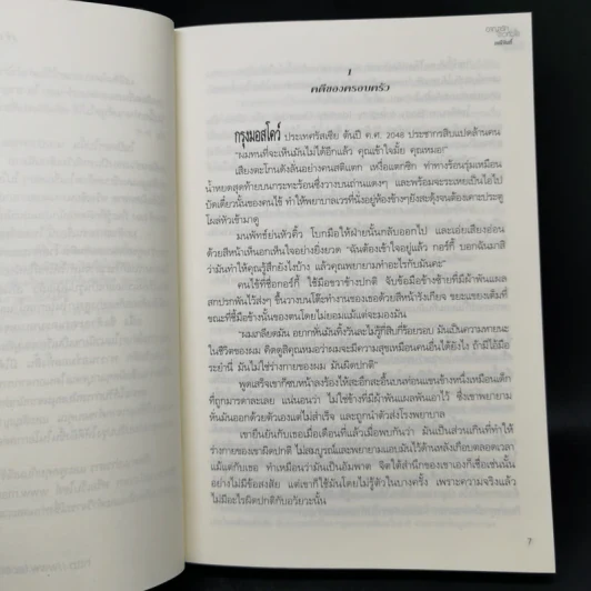 อาญารักจ้าวหัวใจ - มณีจันท์ รูปที่ 10