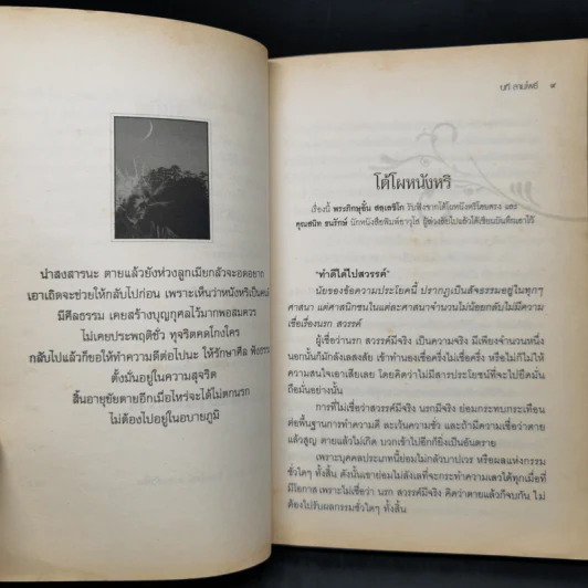 ตายแล้วฟื้น - นที ลานโพธิ์ รูปที่ 11