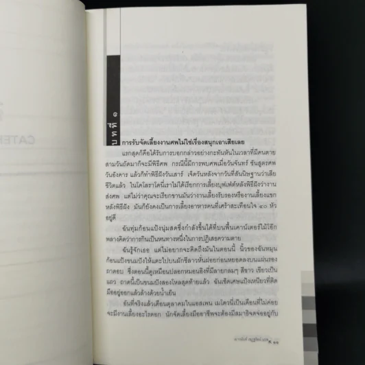 Catering To Nobody สืบราดซอส - ไดแอน มอตต์ เดวิดสัน รูปที่ 10