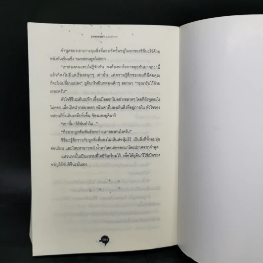 ฆาตกรรมคืนฝนดาวตก - ฮิงาชิโนะ เคโงะ (Keigo Higashino) รูปที่ 11