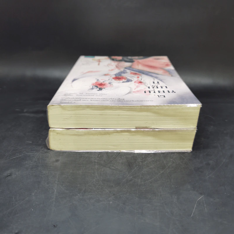 บูเช็กเทียน เล่ม 1-2 - เหวยน่า ได้ แรนเดล รูปที่ 4