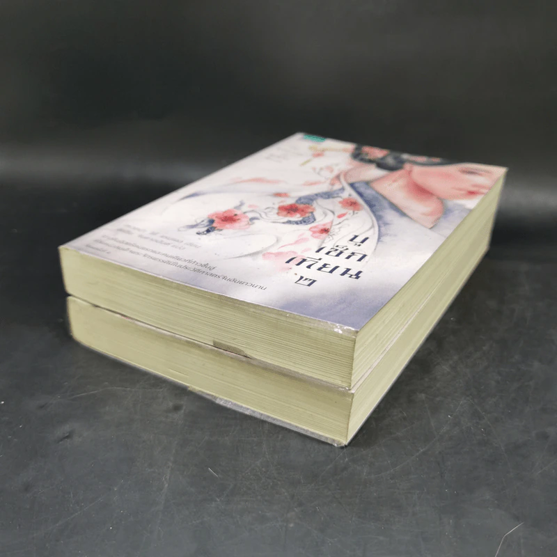 บูเช็กเทียน เล่ม 1-2 - เหวยน่า ได้ แรนเดล รูปที่ 7