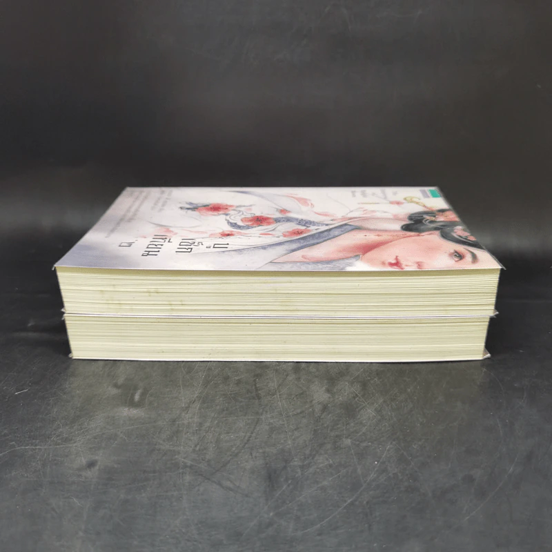 บูเช็กเทียน เล่ม 1-2 - เหวยน่า ได้ แรนเดล รูปที่ 5