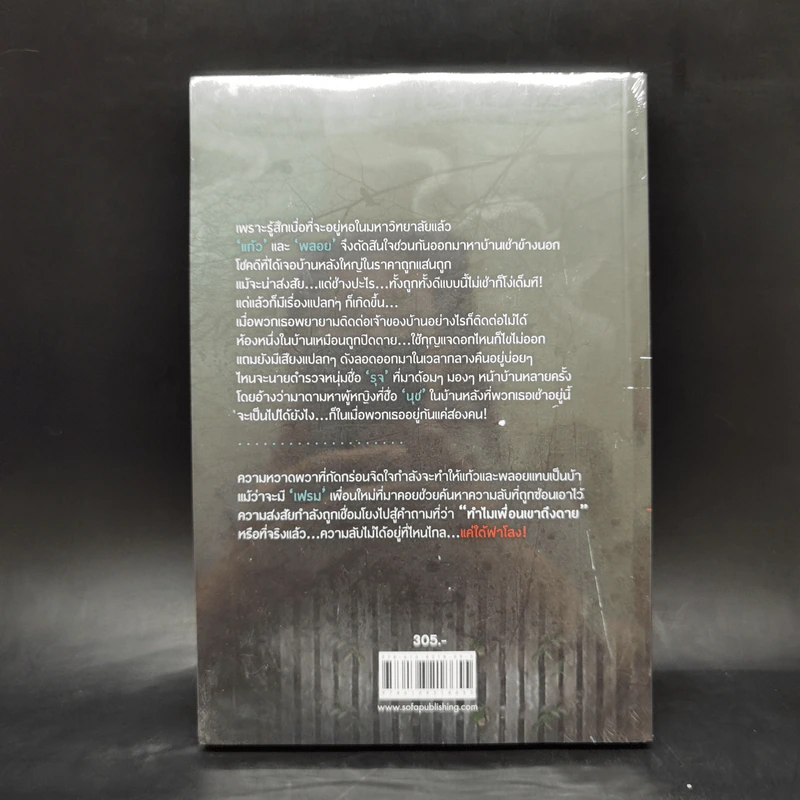The House บ้านเช่าวิญญาณหลอน - ก้าวไกล รูปที่ 2