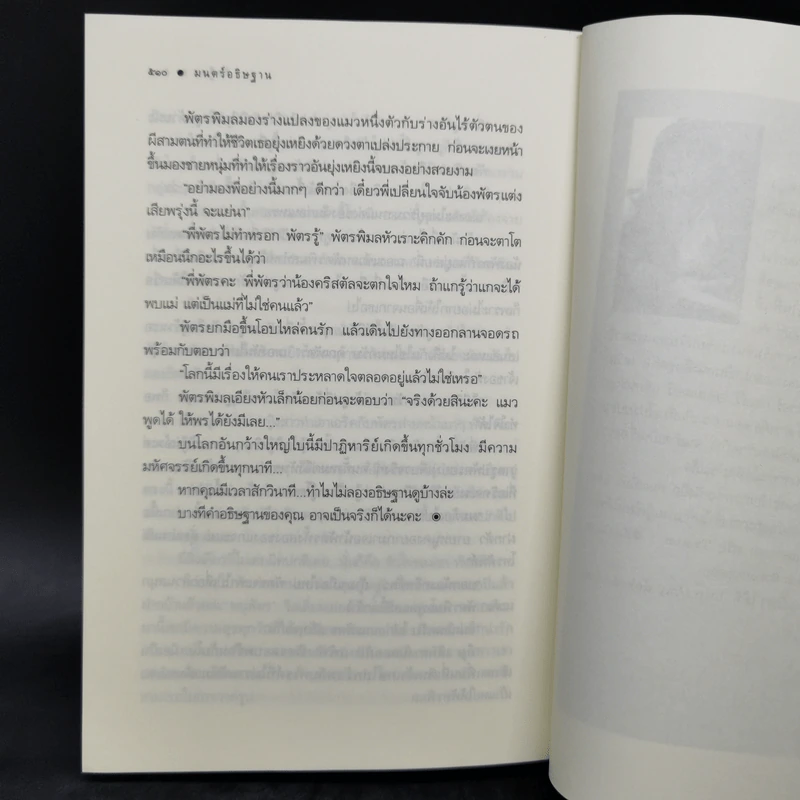 มนตร์อธิษฐาน - กัลฐิดา รูปที่ 10