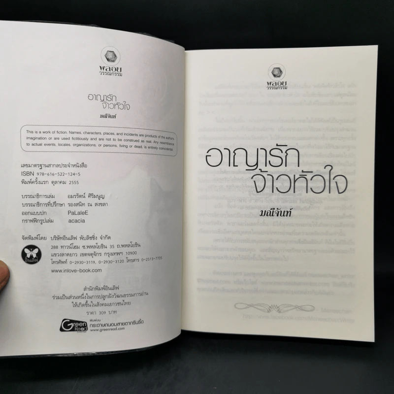 อาญารักจ้าวหัวใจ - มณีจันท์ รูปที่ 8