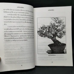 บอนไซและไม้ดัดไทย - พฤกษทล รูปที่ 10