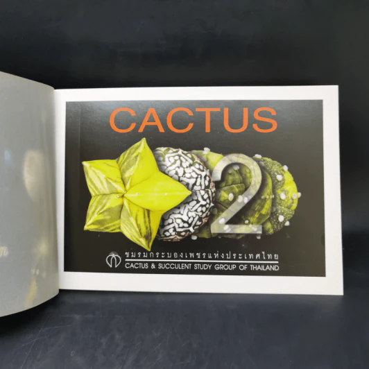 Cactus ชมรมกระบองเพชรแห่งประเทศไทย รูปที่ 8