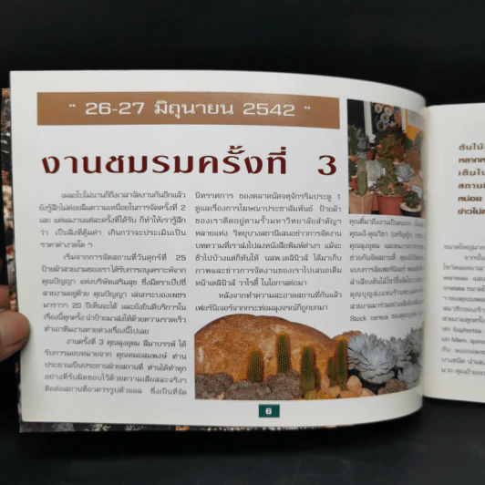Cactus 4 - ชมรมกระบองเพชรแห่งประเทศไทย รูปที่ 9