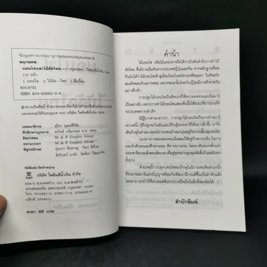 บอนไซและไม้ดัดไทย - พฤกษทล รูปที่ 8