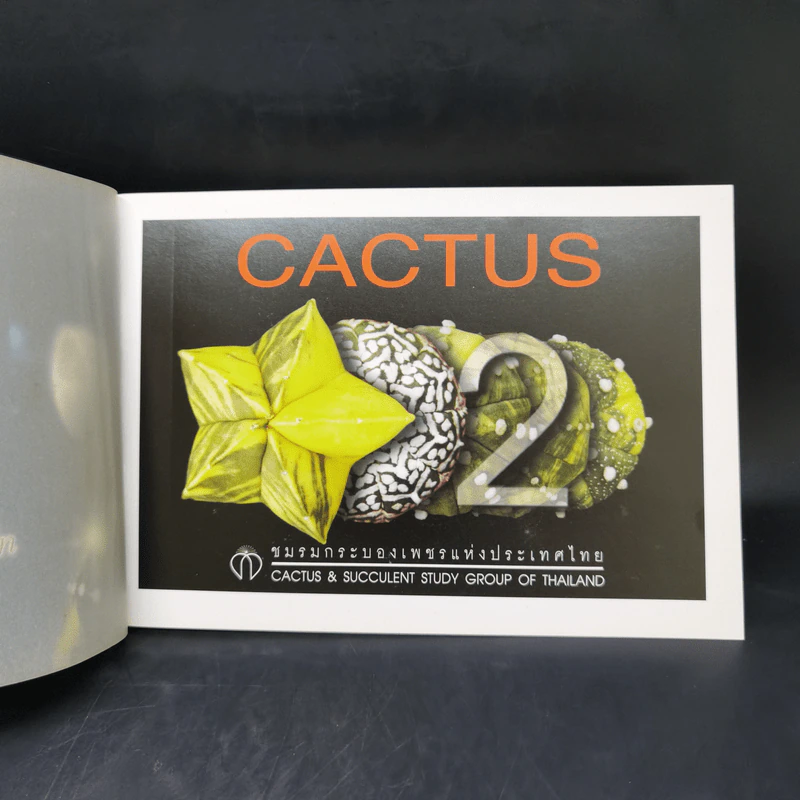 Cactus ชมรมกระบองเพชรแห่งประเทศไทย รูปที่ 8