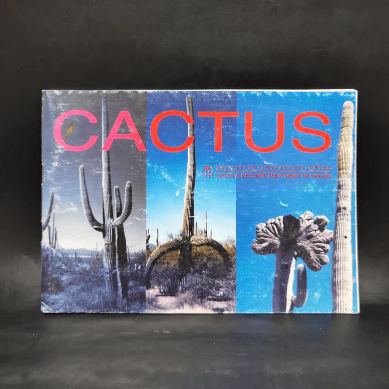 Cactus - ชมรมกระบองเพชรแห่งประเทศไทย รูปที่ 1