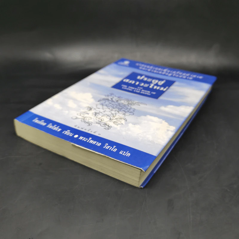 ประตูสู่สภาวะใหม่ จาก The Tibetan Book of Living And Dying - โซเกียล รินโปเช (พระไพศาล วิสาโล แปล) รูปที่ 7