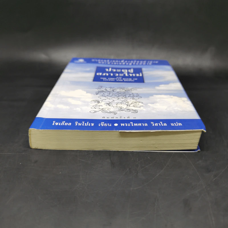 ประตูสู่สภาวะใหม่ จาก The Tibetan Book of Living And Dying - โซเกียล รินโปเช (พระไพศาล วิสาโล แปล) รูปที่ 4
