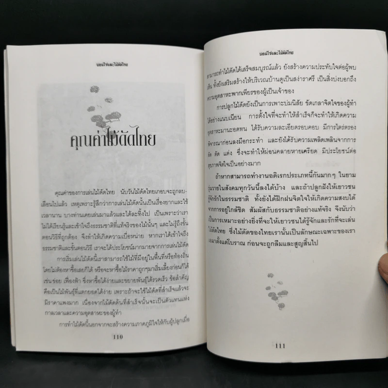 บอนไซและไม้ดัดไทย - พฤกษทล รูปที่ 12
