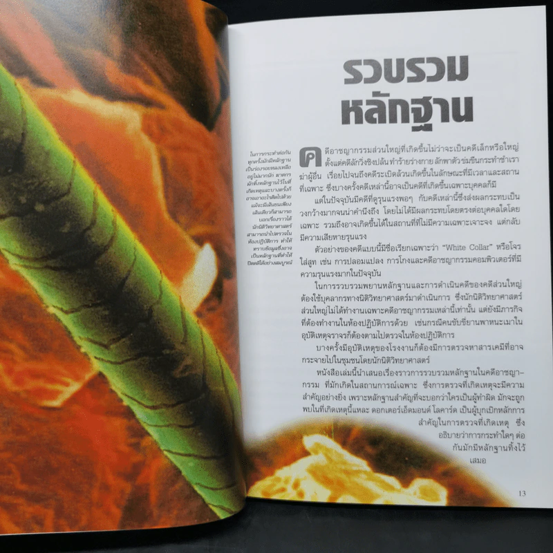 ศพช่วยสืบ รวมคดีฆาตกรรมก้องโลก ภาคแรก  - พ.ญ.คุณหญิงพรทิพย์ โรจนสุนันท์ รูปที่ 11