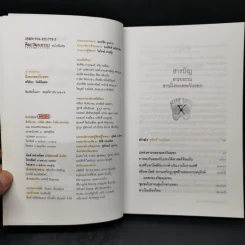 อารยธรรมฝั่งทะเลตะวันออก - ศรีศักร วัลลิโภดม รูปที่ 8