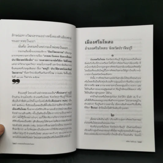 อารยธรรมฝั่งทะเลตะวันออก - ศรีศักร วัลลิโภดม รูปที่ 10