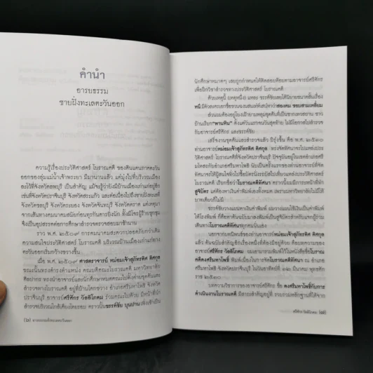 อารยธรรมฝั่งทะเลตะวันออก - ศรีศักร วัลลิโภดม รูปที่ 9